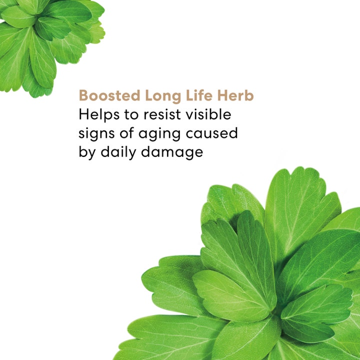 bareMinerals Skinlongevity Long Life Herb Serum 15 ml motvirker aldringstegn vist med grønne blader og infotekst