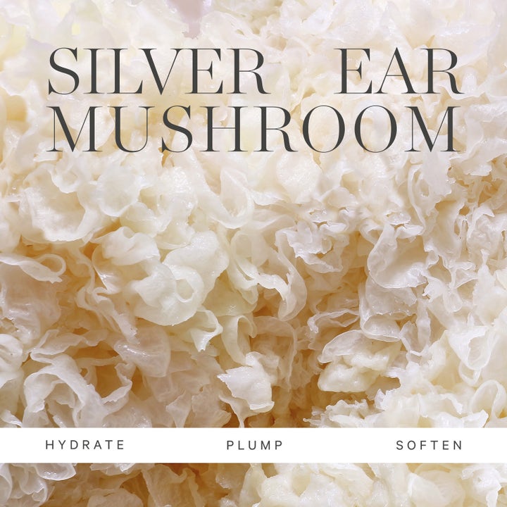 KORA Organics Mushroom Cleanser 150 ml ansiktsrens med Silver Ear Mushroom som fukter, mykgjør og gir huden fylde.