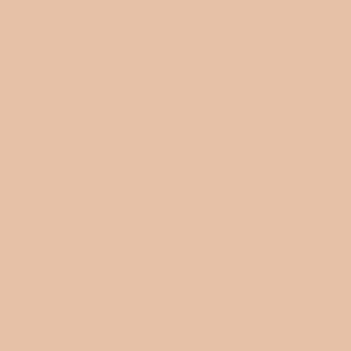 Perfect Matte Serum Foundation