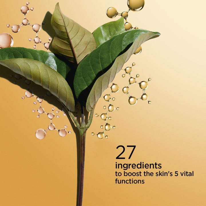 Clarins Double Serum 50 ml ansiktsserum med grønne blader og gylne molekyler som viser 27 ingredienser for huden