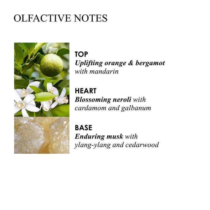 Molton Brown Orange & Bergamot 400 ml håndsåpe duftnoter med oppløftende appelsin, neroli og musk
