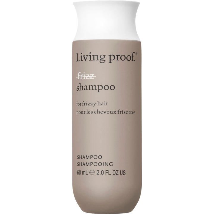 No Frizz Shampoo