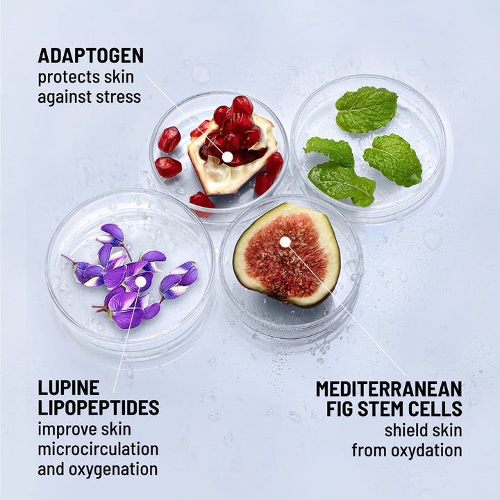 Dr Brandt iD-STRESS Fatigue Fighting Eye Gel 15 g øyegel viser aktive ingredienser som fiken og lupin i petriskåler.