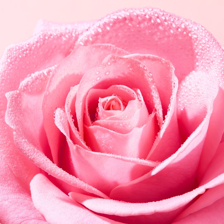 Nuxe Very Rose Micellar Water 200 ml ansiktsrengjøring med beroligende rosa rose og vanndråper