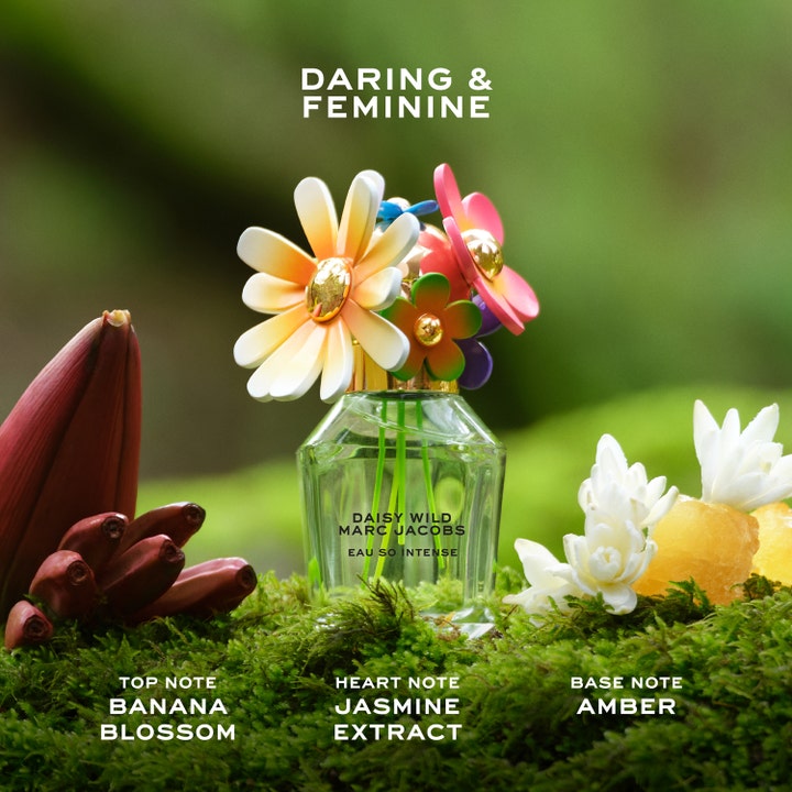 Daisy Wild Intense