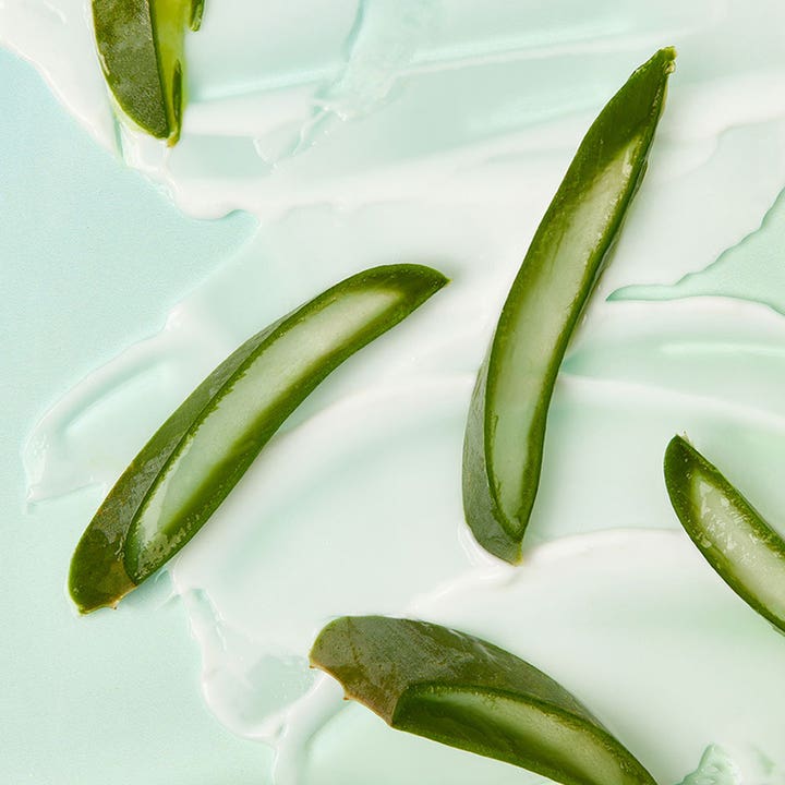 NIVEA Fresh Aloe Shower Gel 250 ml dusjsåpe med ferske aloe vera-skiver i en kremet hvit tekstur