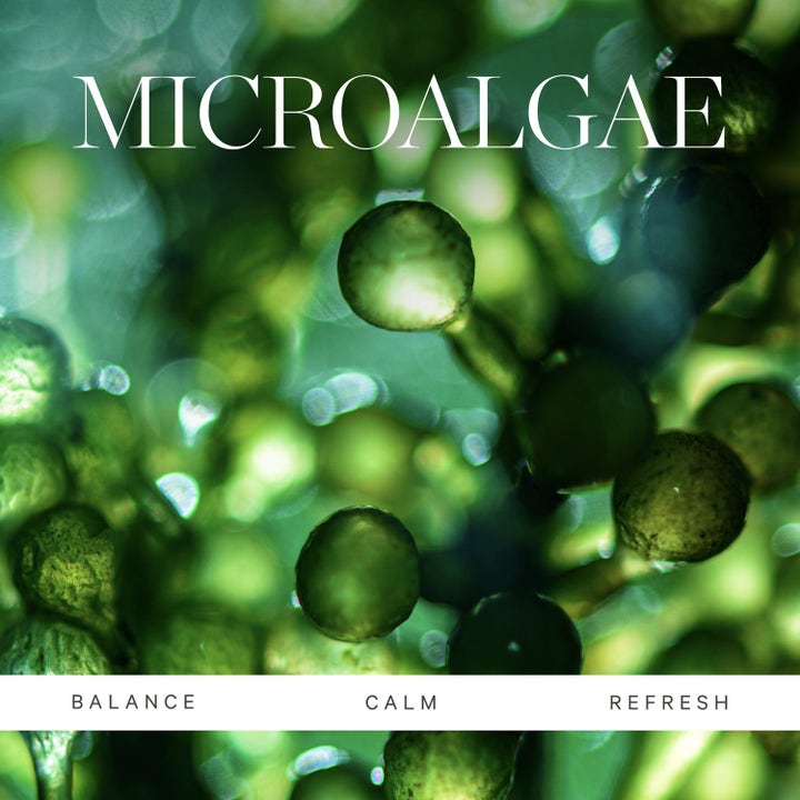 KORA Organics Active Algae Melting Cleansing Balm 30 g med mikroalger som gir balance, calm og refresh.