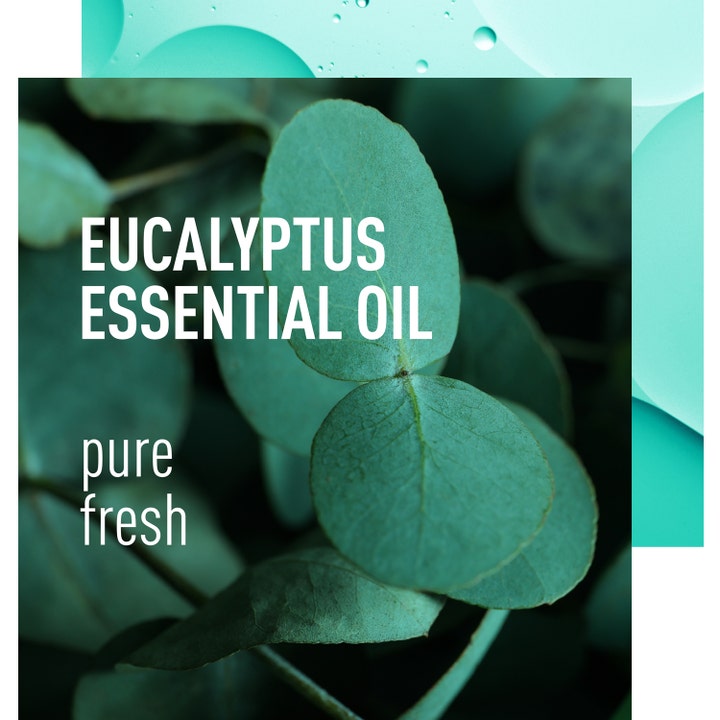 Adidas Skin & Mind Pure Fresh 50 ml roll-on deodorant med eukalyptusblader og teksten Eucalyptus Essential Oil.