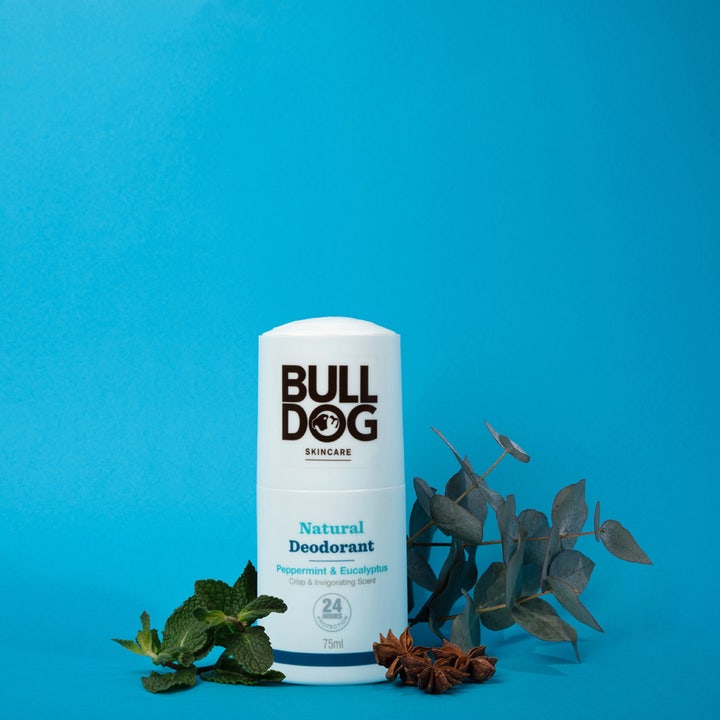 Bulldog Deodorant Peppermint & Eucalyptus 75 ml hvit stift som gir 24 timers beskyttelse med friske urter på blå bakgrunn