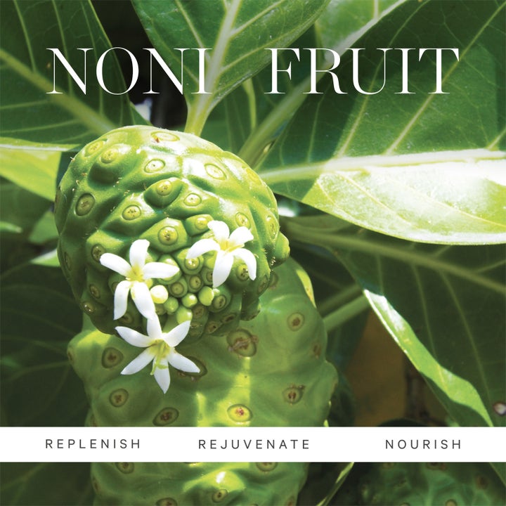 KORA Organics Noni Night AHA resurfacing Serum 30 ml fornyende nattserum med grønn nonifrukt og hvite blomster.