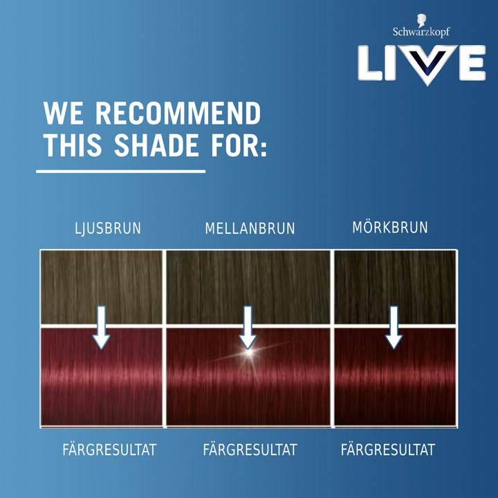 Live Intense Color