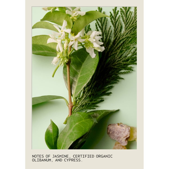 Sap Moss Shampoo